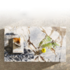 Marble Coffee Table