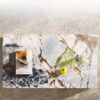Marble Coffee Table
