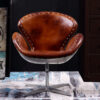 Wind Leather Lounge Chair