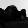Black Edra Pack Sofa