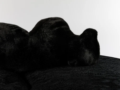 Black Edra Pack Sofa