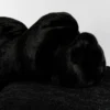 Black Edra Pack Sofa