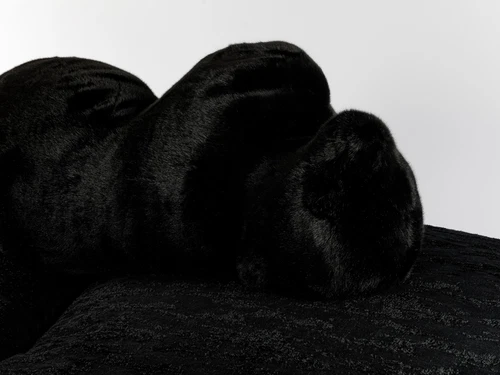 Black Edra Pack Sofa