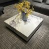 Carrara White Marble Coffee Table