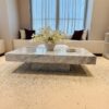 Carrara White Marble Coffee Table