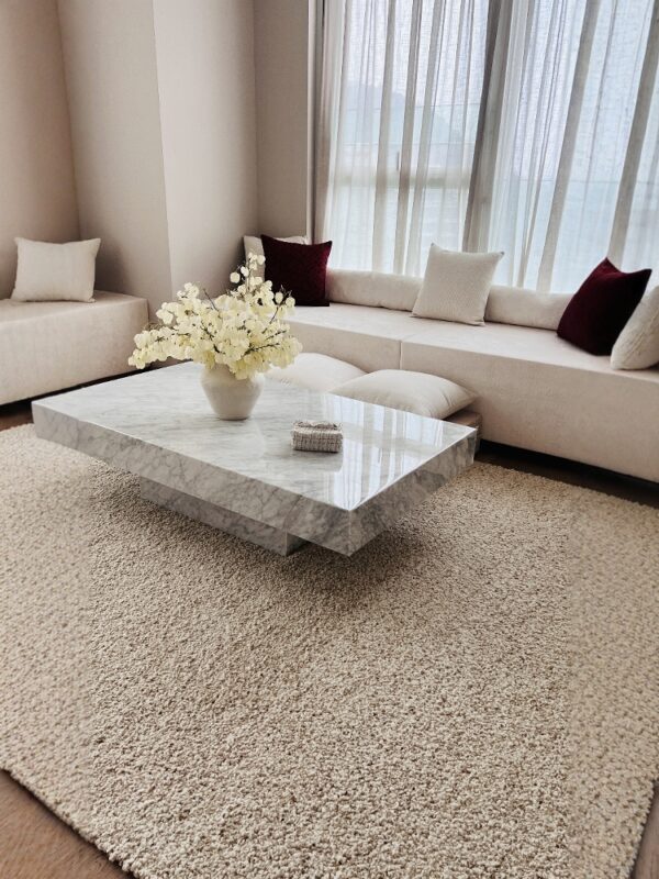 Carrara White Marble Coffee Table