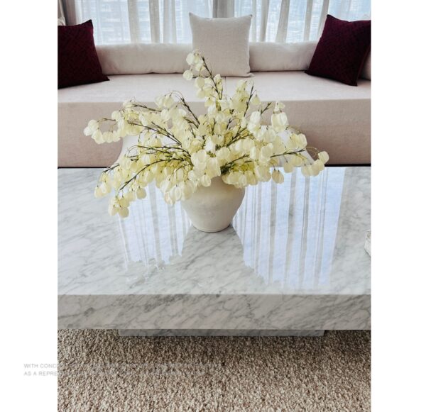 Carrara White Marble Coffee Table