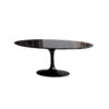 Black Tulip Dining Table