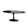 Black Tulip Dining Table