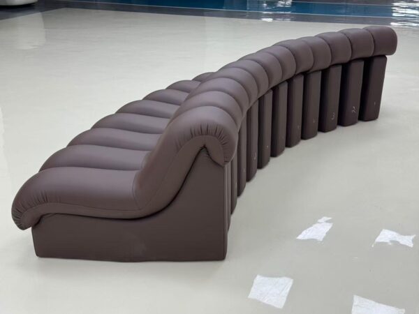 DS-600 Comfortable Snake-Shape Modular Sofa