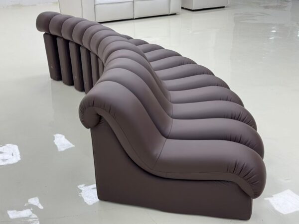 DS-600 Comfortable Snake-Shape Modular Sofa