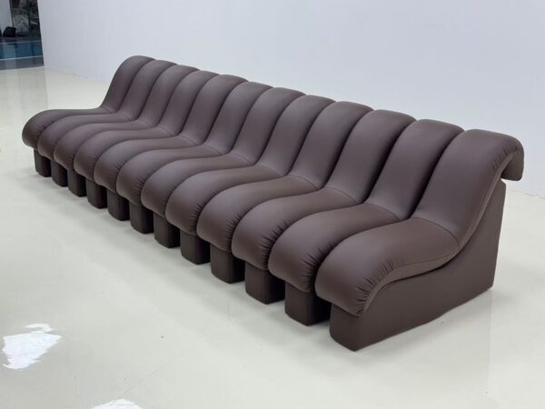 DS-600 Comfortable Snake-Shape Modular Sofa