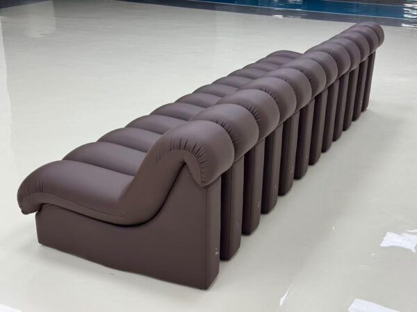 DS-600 Comfortable Snake-Shape Modular Sofa