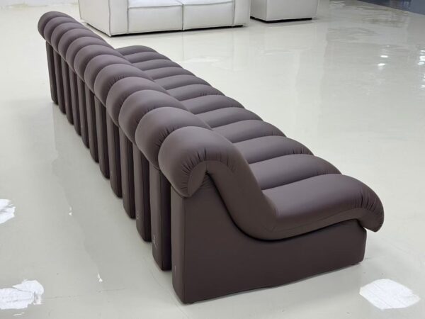 DS-600 Comfortable Snake-Shape Modular Sofa