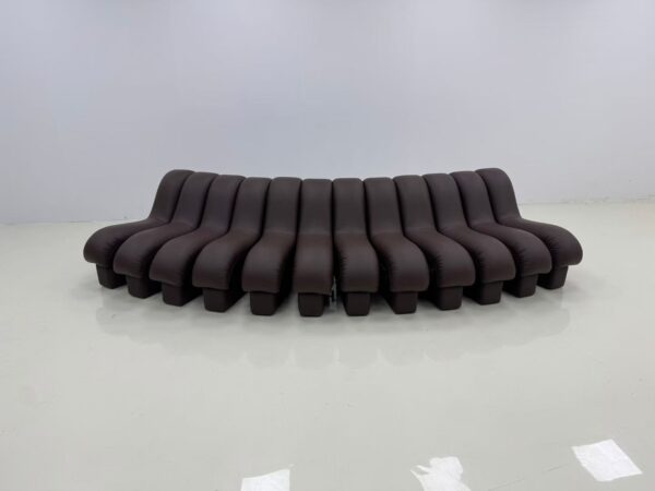DS-600 Comfortable Snake-Shape Modular Sofa