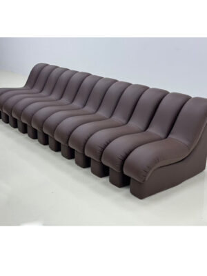 DS-600 Comfortable Snake-Shape Modular Sofa